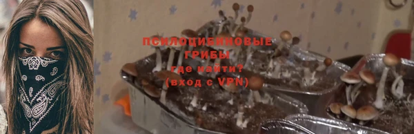 амф Алексеевка