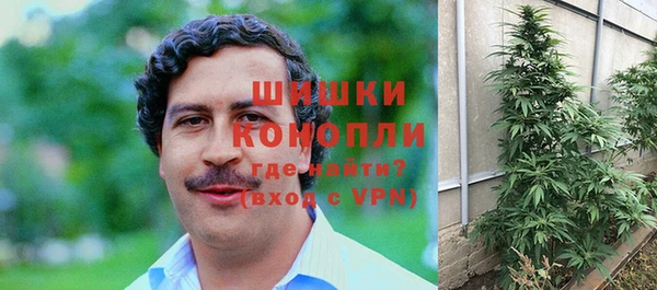 сатива Нягань